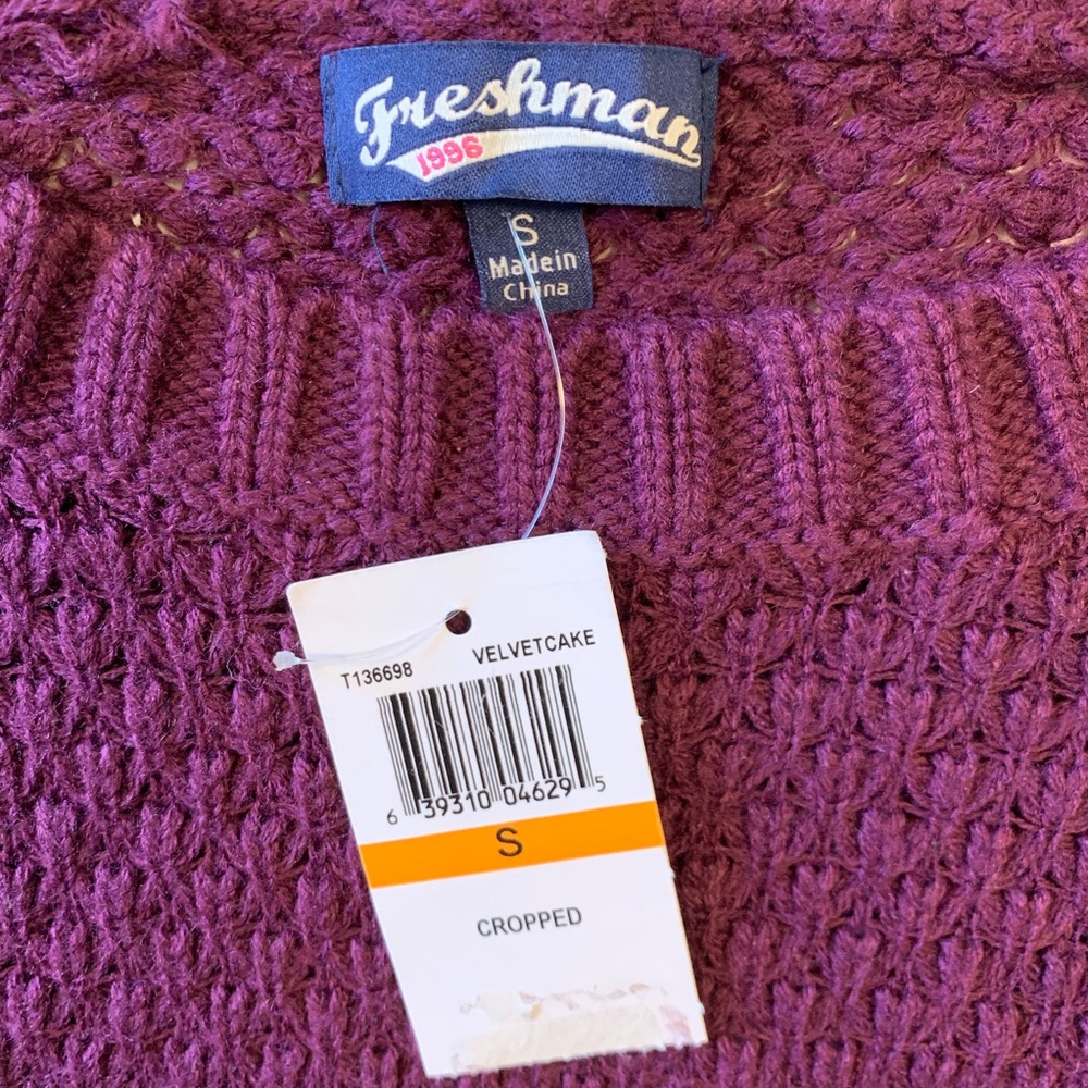 Freshman Crop Lace Trim Pullover Sweater - Picture 5 of 7